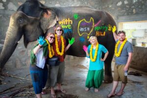 Places to Hang Out with Elephants in India