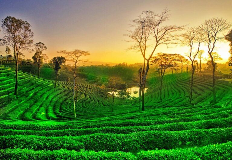 Places to Visit in Assam in June