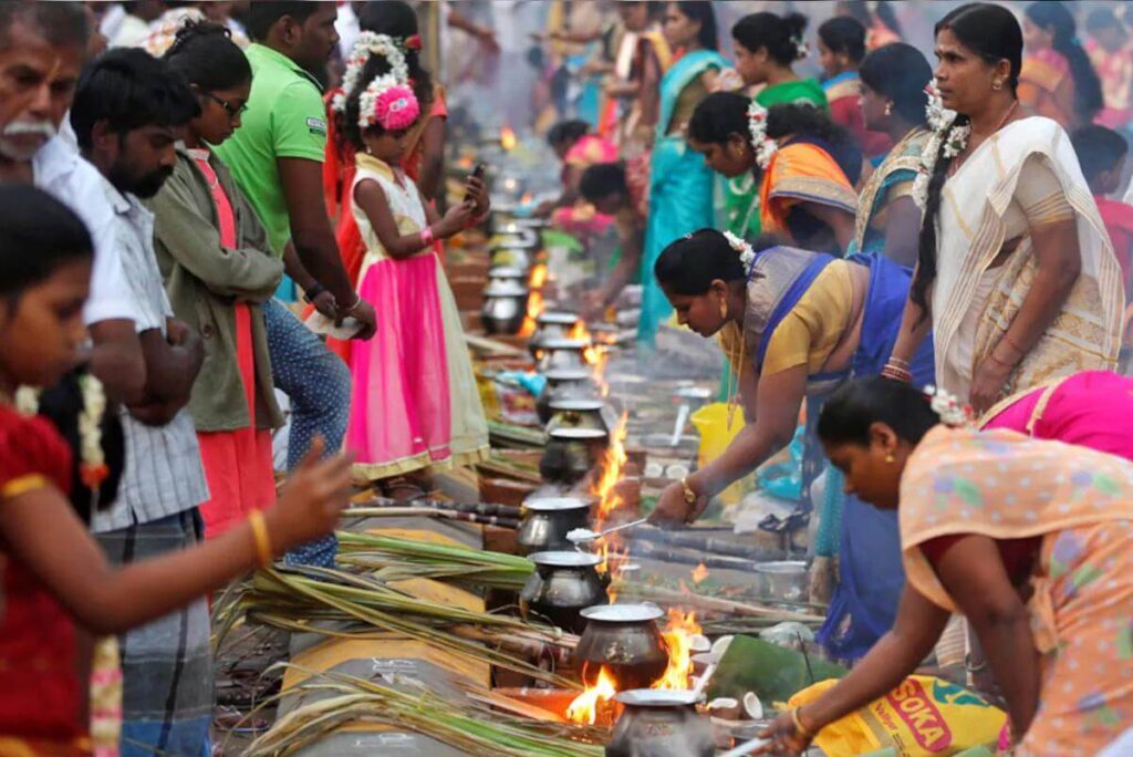 Pongal Festival Andhra Pradesh