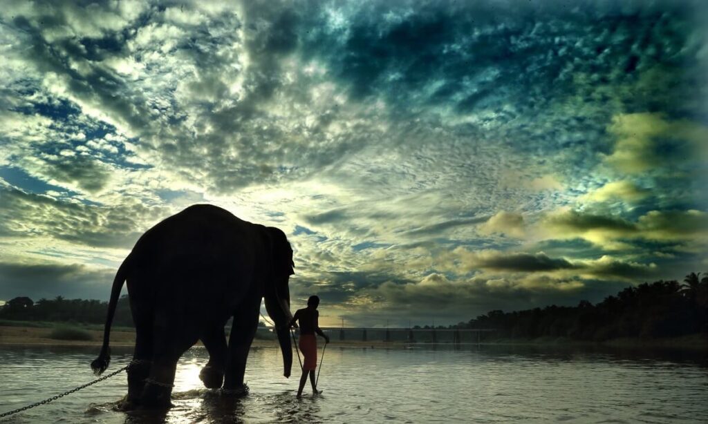 River Nila Bharathapuzha Kerala