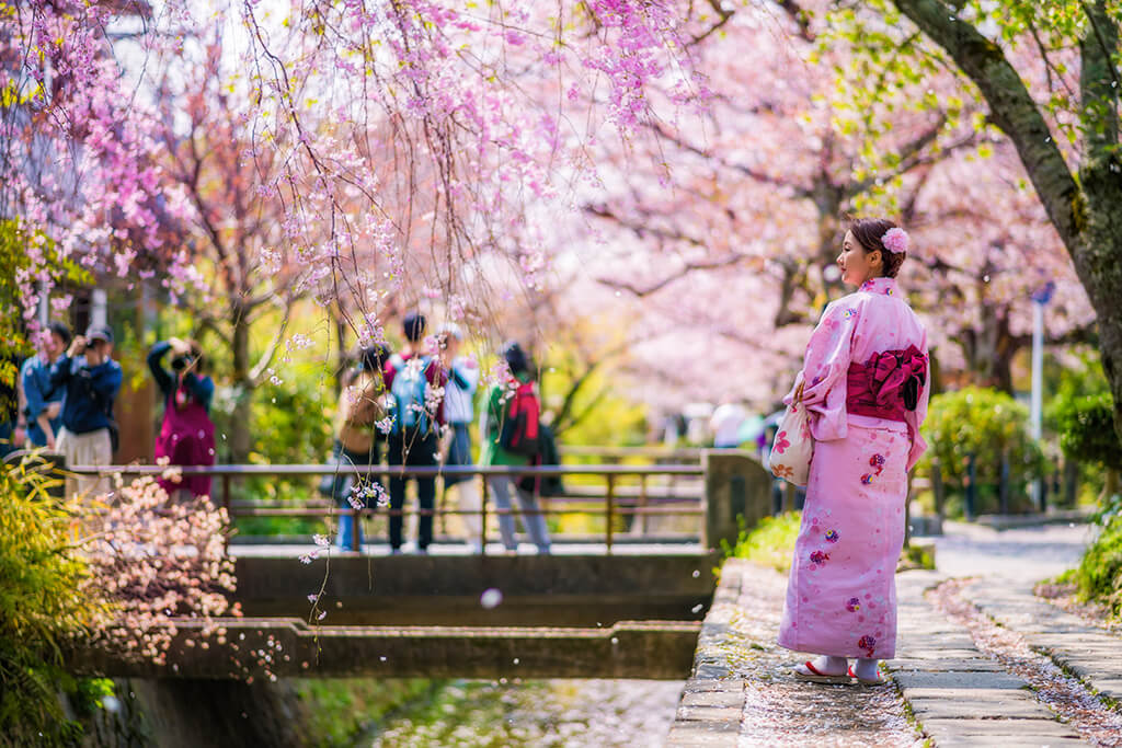 The Philosopher's Path Kyoto Japan