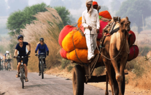 Exploring Rajasthan: A Fascinating Journey into Its Rich Culture