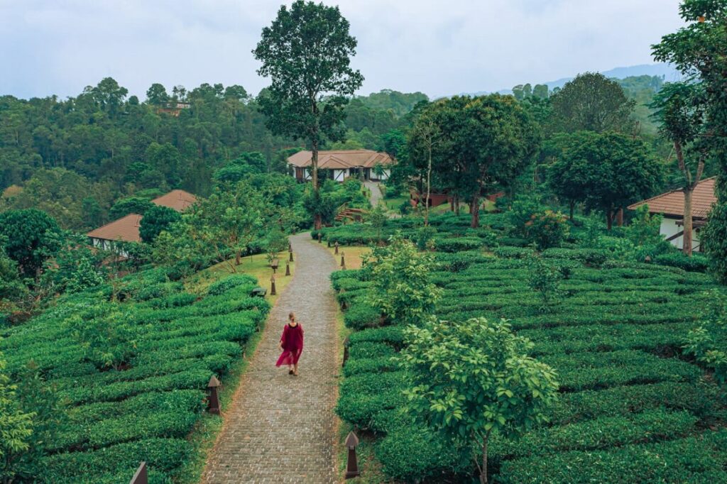 Ayurvedic Village Visits Kerala