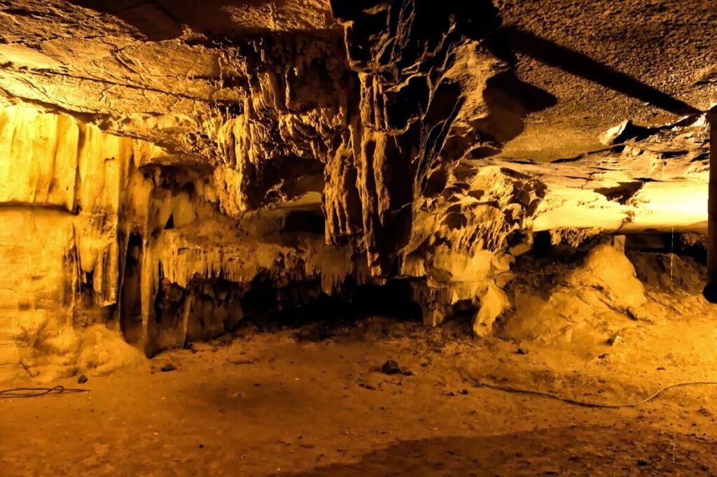 Banyan Tree Belum Caves Andhra Pradesh