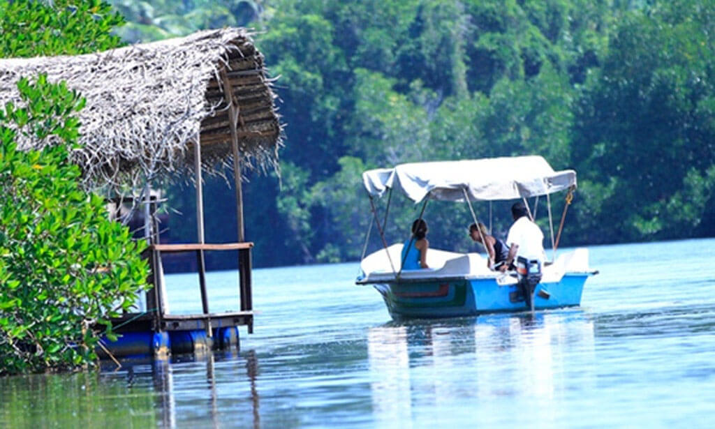 Boat Ride on the Bentota Lagoon Sri Lanka