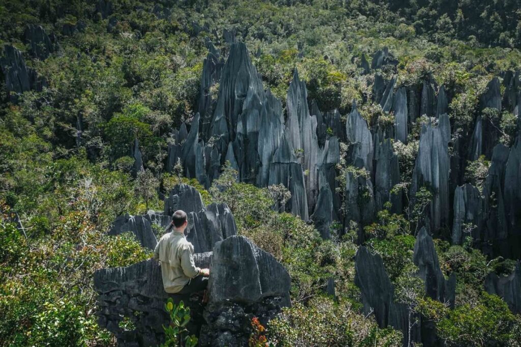 Hike Gunung Mulu National Park, Malaysia