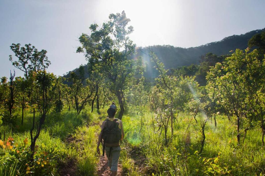 Hike Khao Yai National Park, Thailand