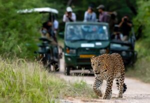 Jhalana Safari Park Jaipur Rajasthan