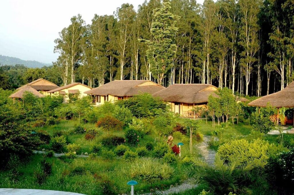 Jim's Jungle Retreat - Corbett Uttarakhand