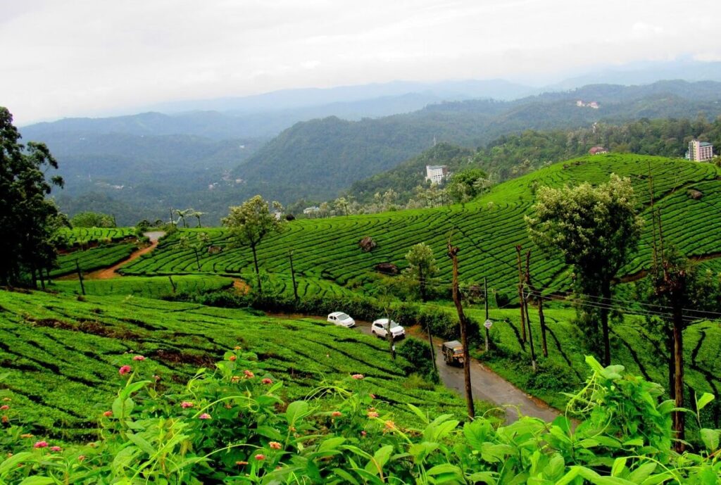 Kochi to Munnar Road Trip