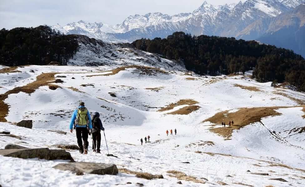 Kuari Pass Trekking Auli Uttarakhand