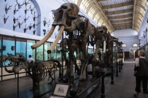 7 Most Famous Museums in Kolkata