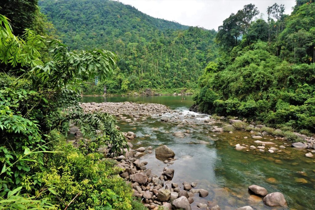 North-Eastern Rainforests