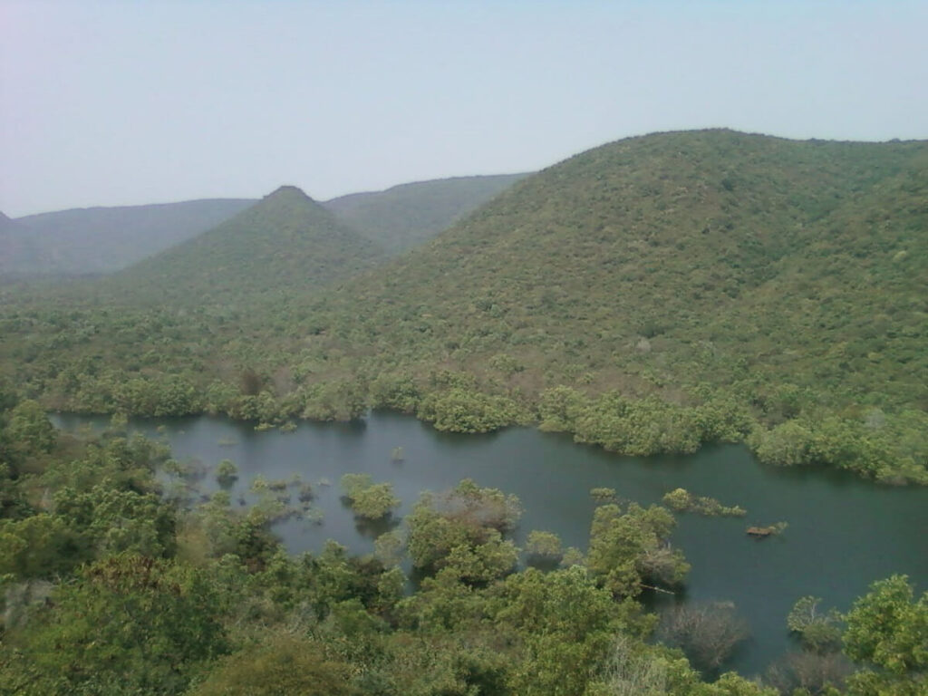 Odisha Semi-Evergreen Rainforest
