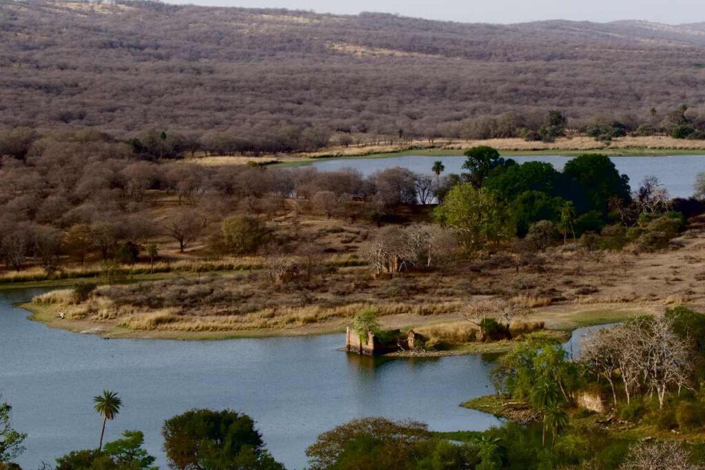 Padam Talao Lake Ranthambore Rajasthan