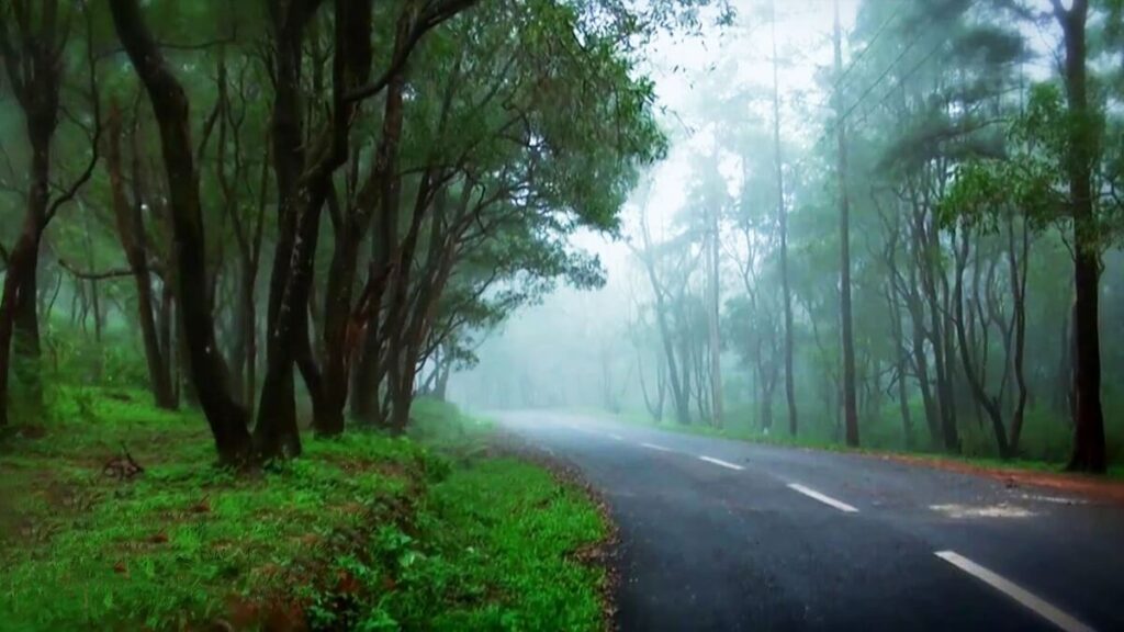 Ponmudi Hill Station Road Kerala