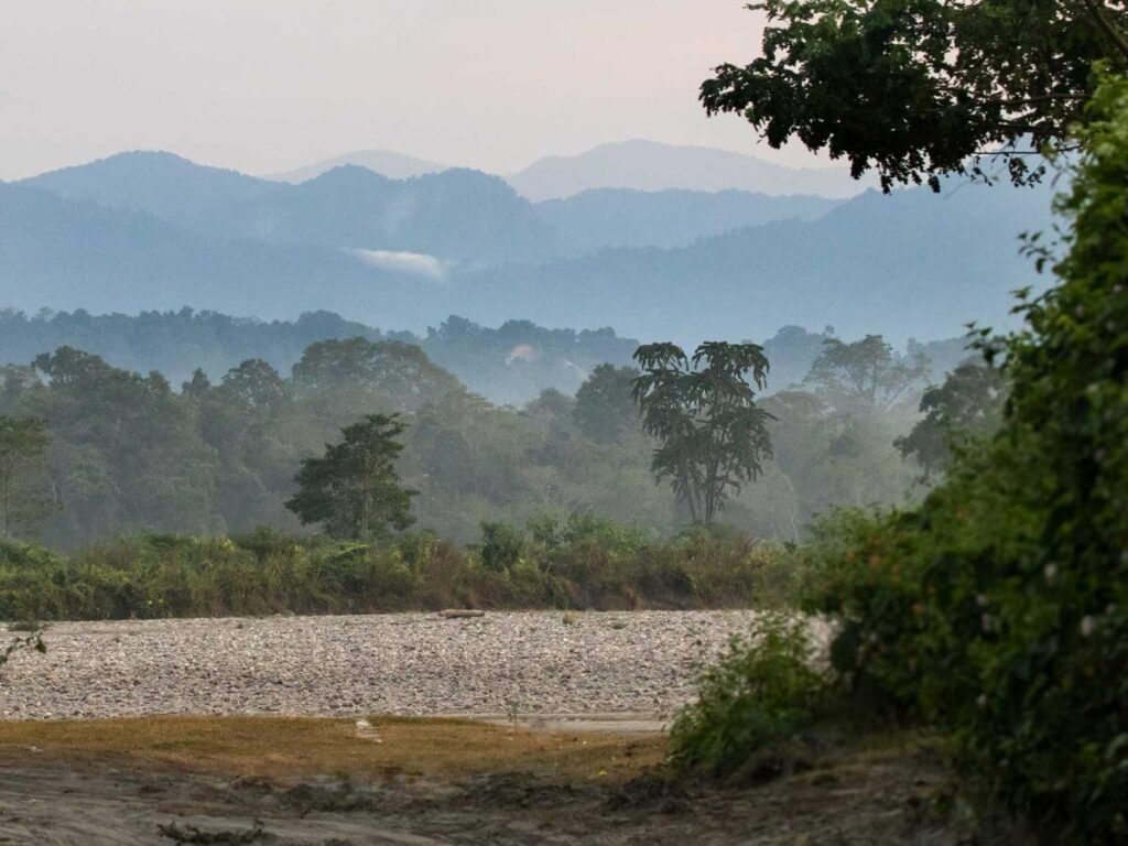 Scenic Views Nameri National Park Assam