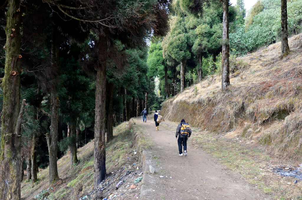 Tonglu Trek West Bengal