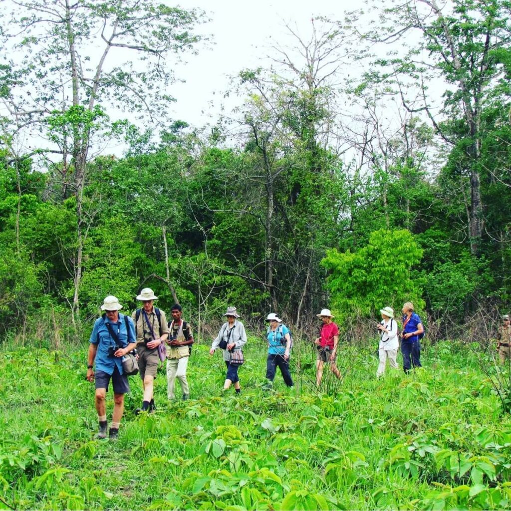 Trekking in Nameri National Park Assam