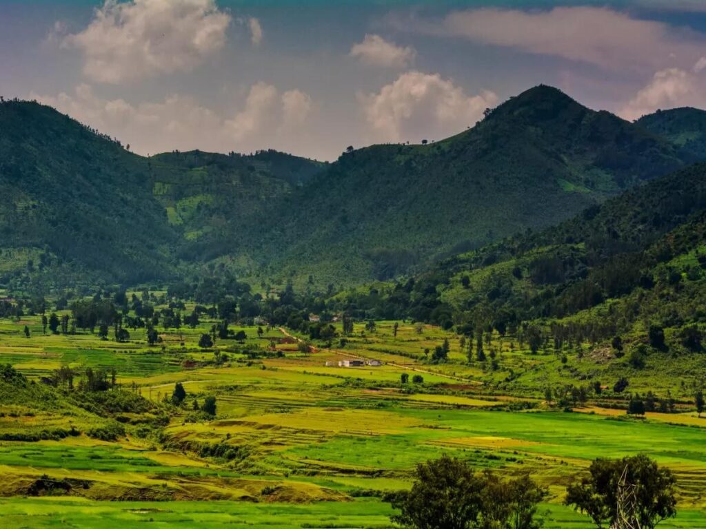 Araku Valley, Andhra Pradesh