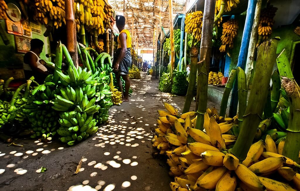 Banana Market Madurai Tamil Nadu