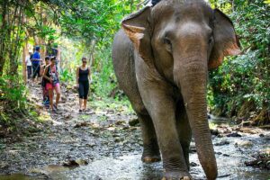Beautiful National Parks in Vietnam