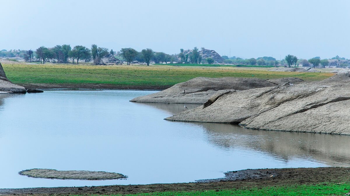 Jawai Bandh Rajasthan – A Unique Wildlife Travel Experience