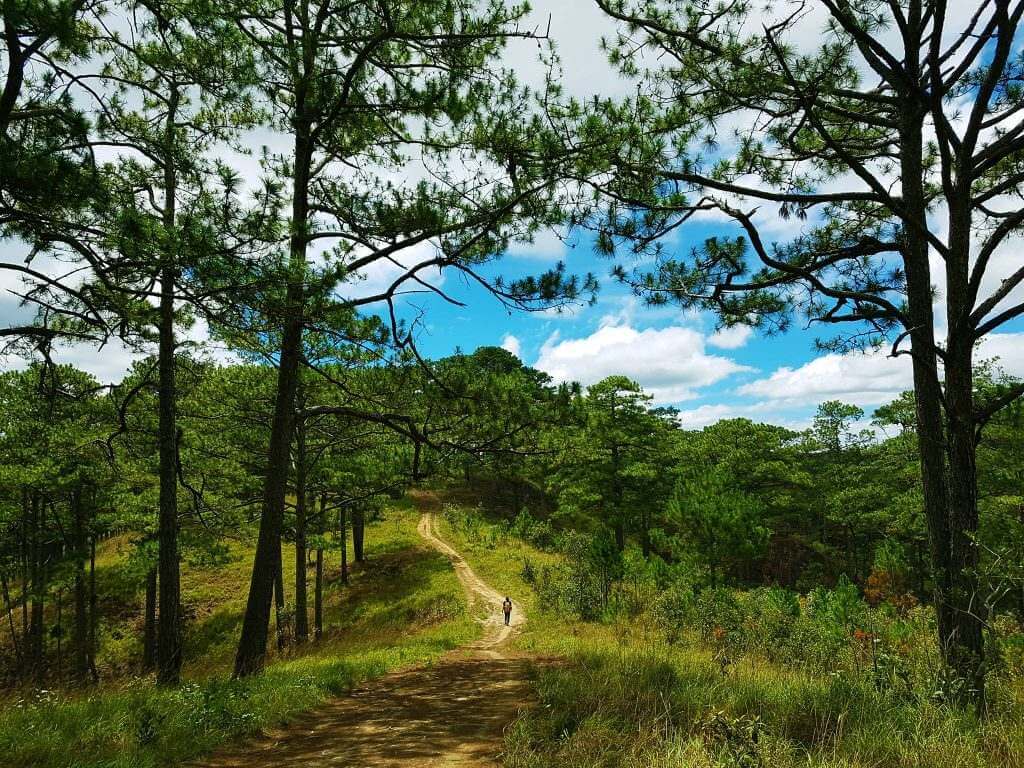 Bidoup Nui Ba National Park Vietnam