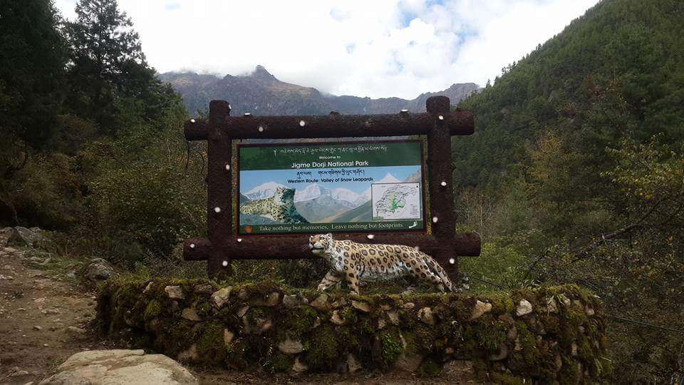 Jigme Dorji National Park Bhutan
