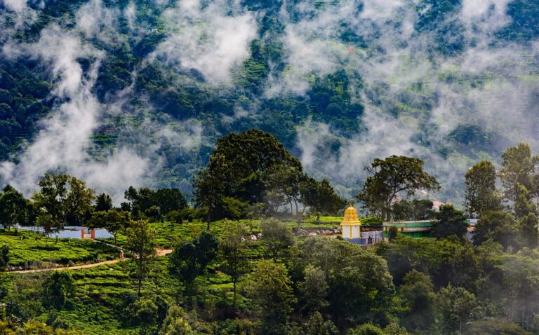 Kotagiri Hill Station, Tamil Nadu