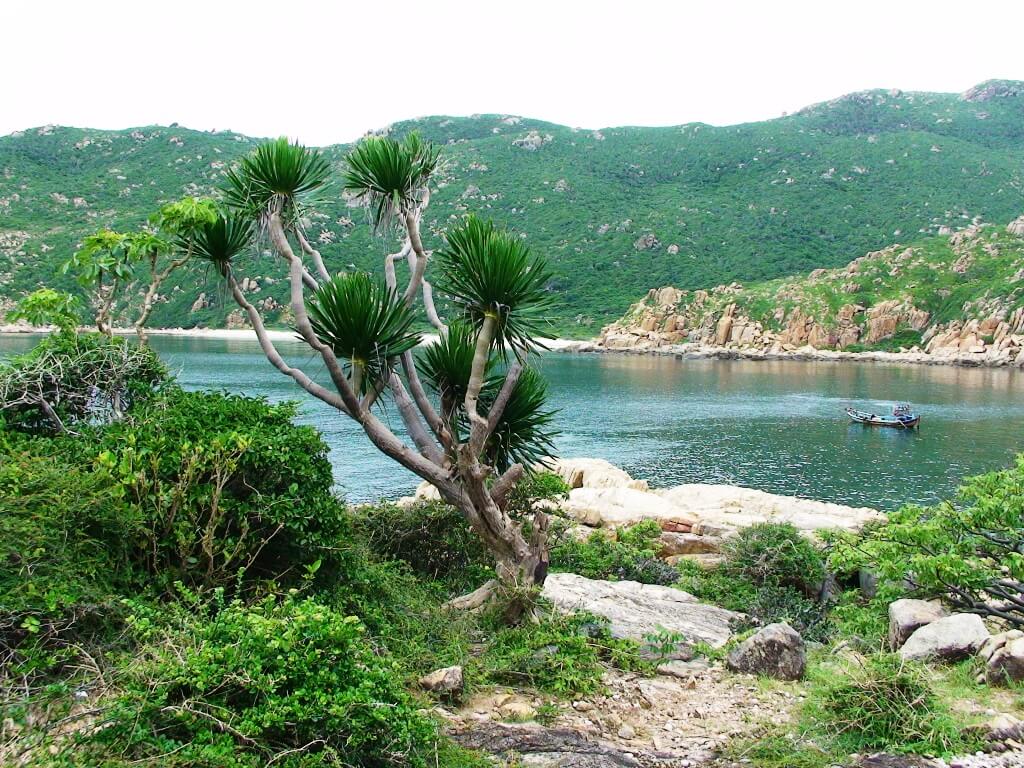 Nui Chua National Park Vietnam