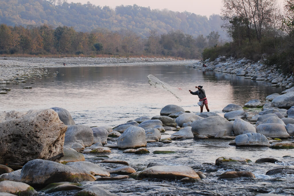 Ramganga River, Corbett National Park