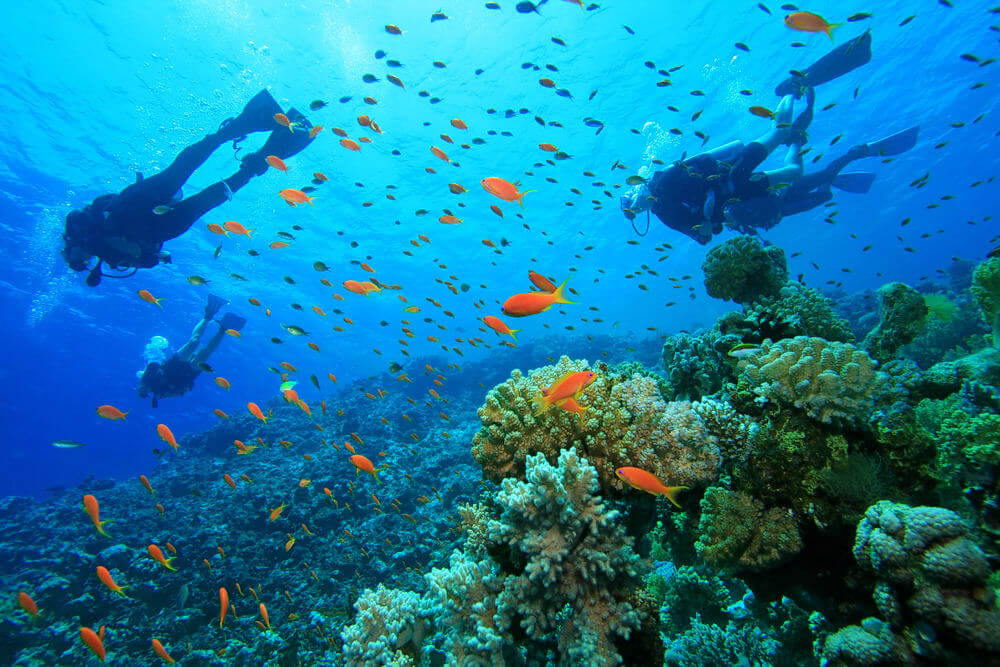 Scuba Diving Andaman and Nicobar Islands