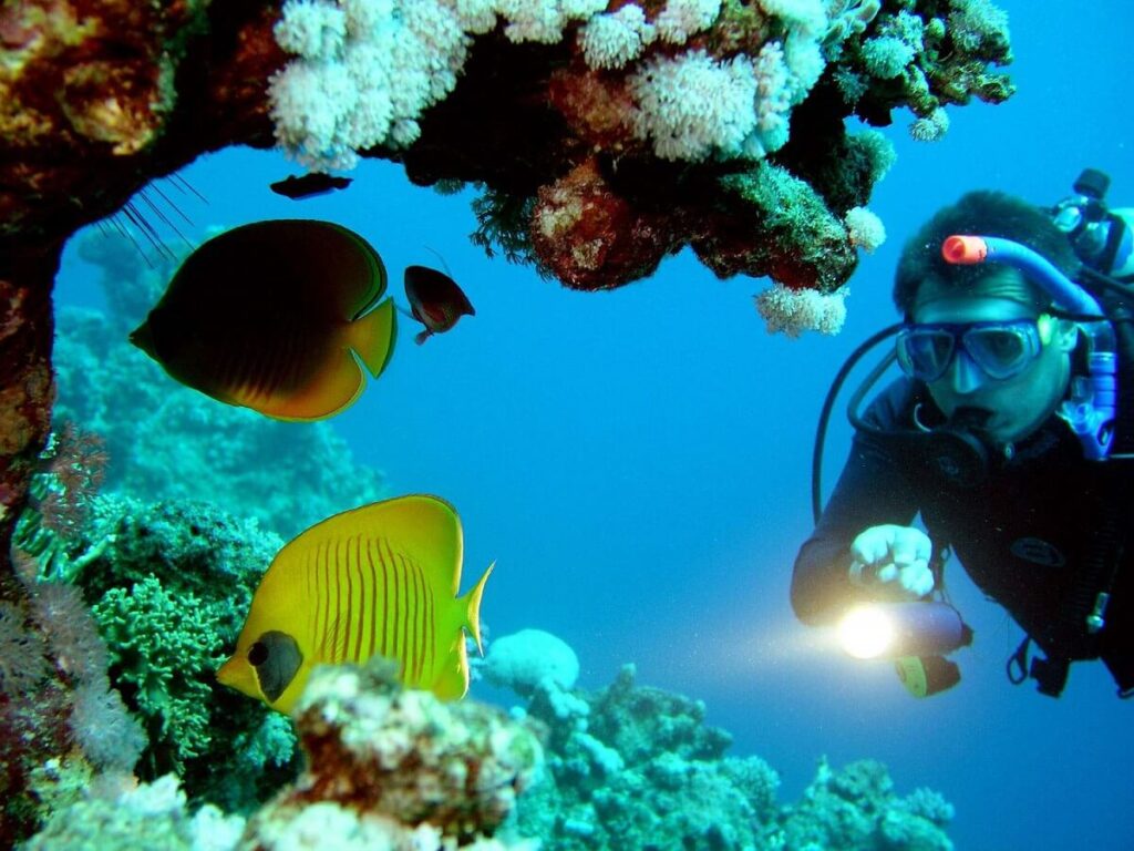 Scuba Diving Goa