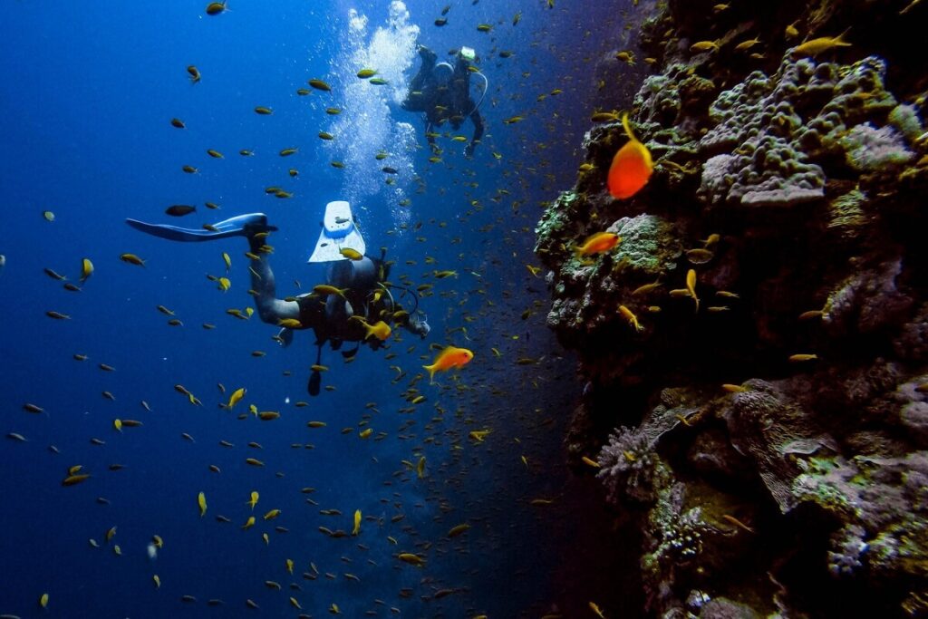 Scuba Diving Pondicherry