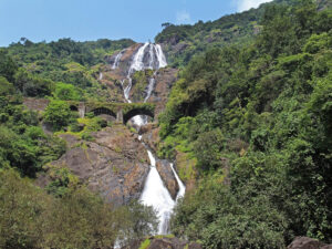 Things to Do Around Dudhsagar Waterfalls