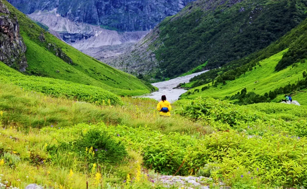 Valley Of Flowers Trek