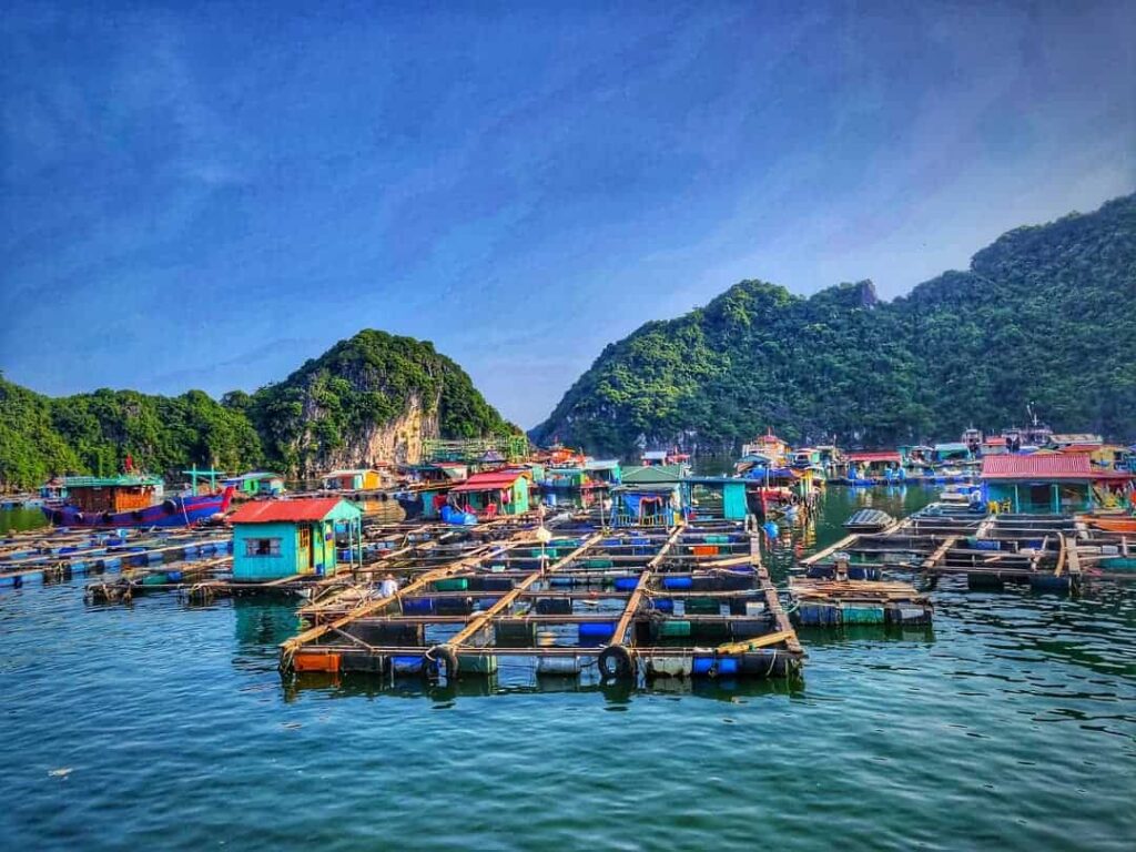 Vietnam Halong Bay Cua Van Floating Village