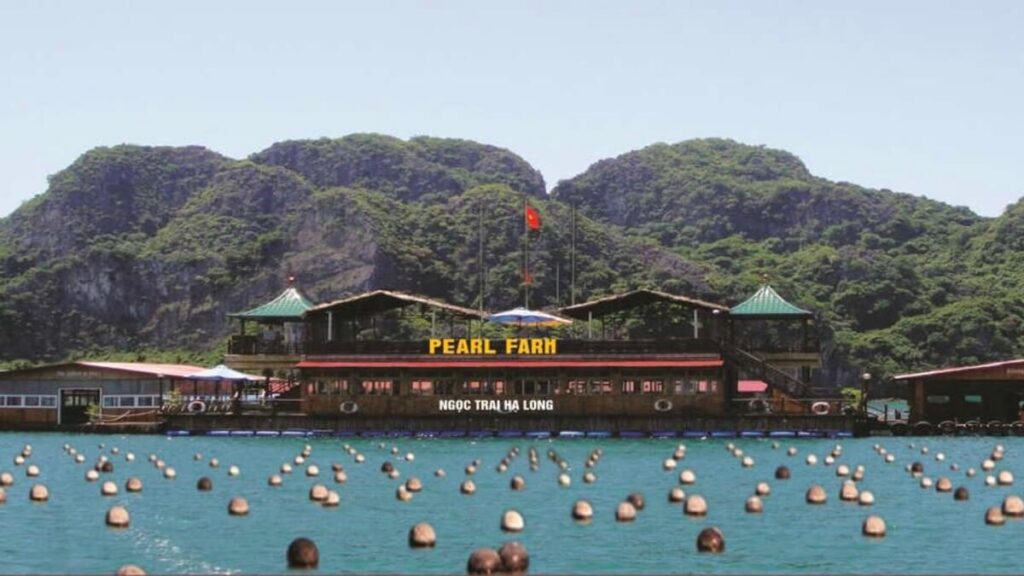 Vietnam Halong Bay Tung Sau Pearl Farm