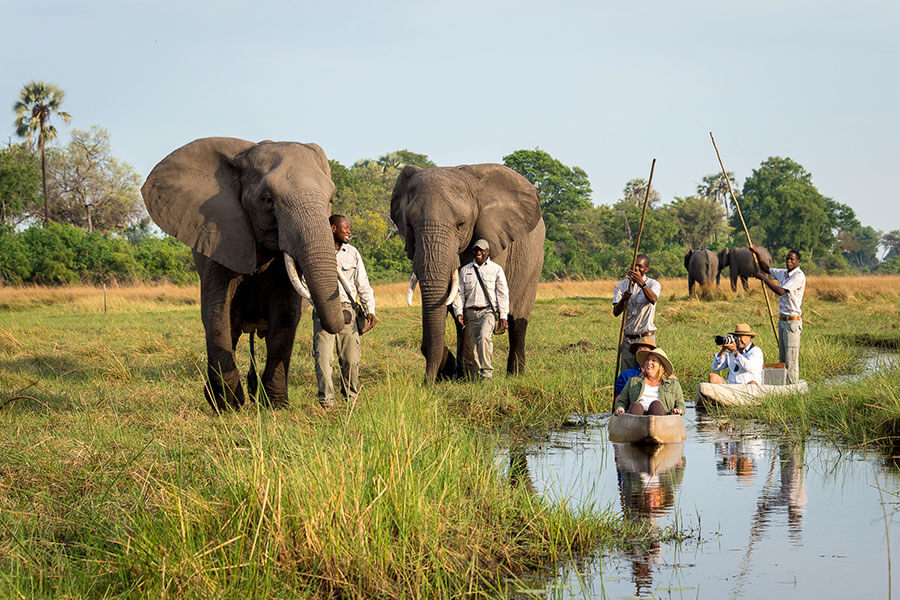 Walking Safari Okavango Delta, Botswana