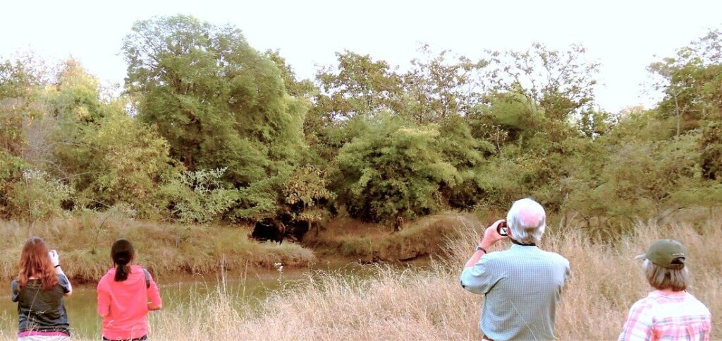 Walking Safari Tadoba Andhari Tiger Reserve, India