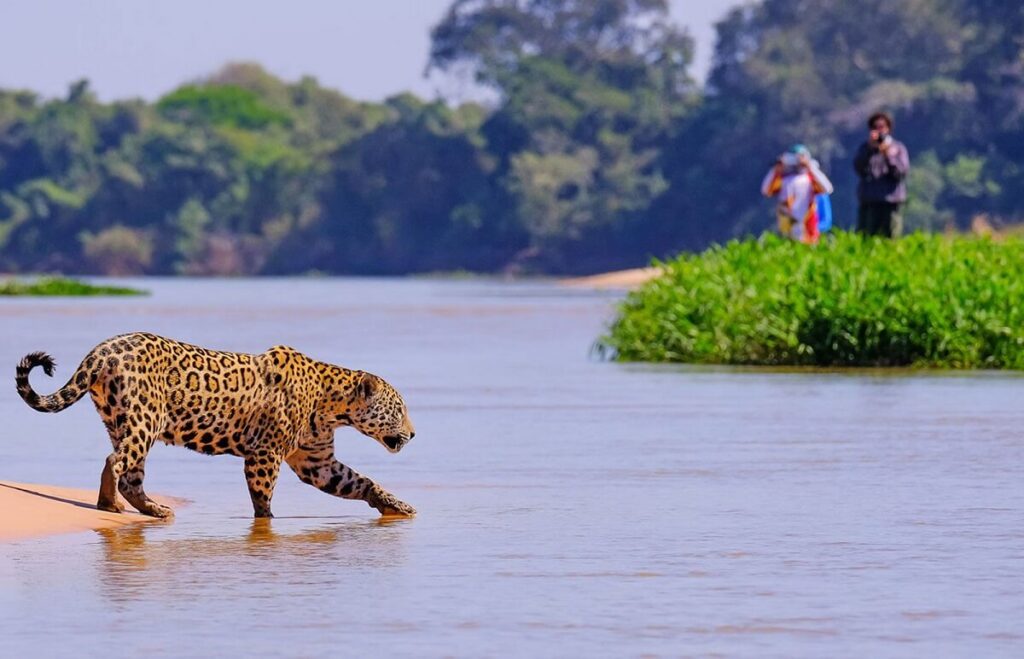Walking Safari The Pantanal, Brazil