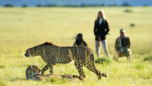 Walking Safaris in the World