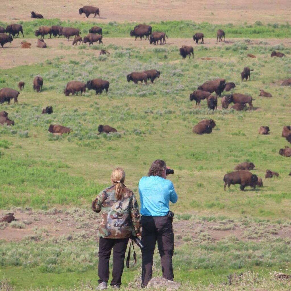 Yellowstone National Park, USA