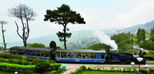 darjeeling toy train