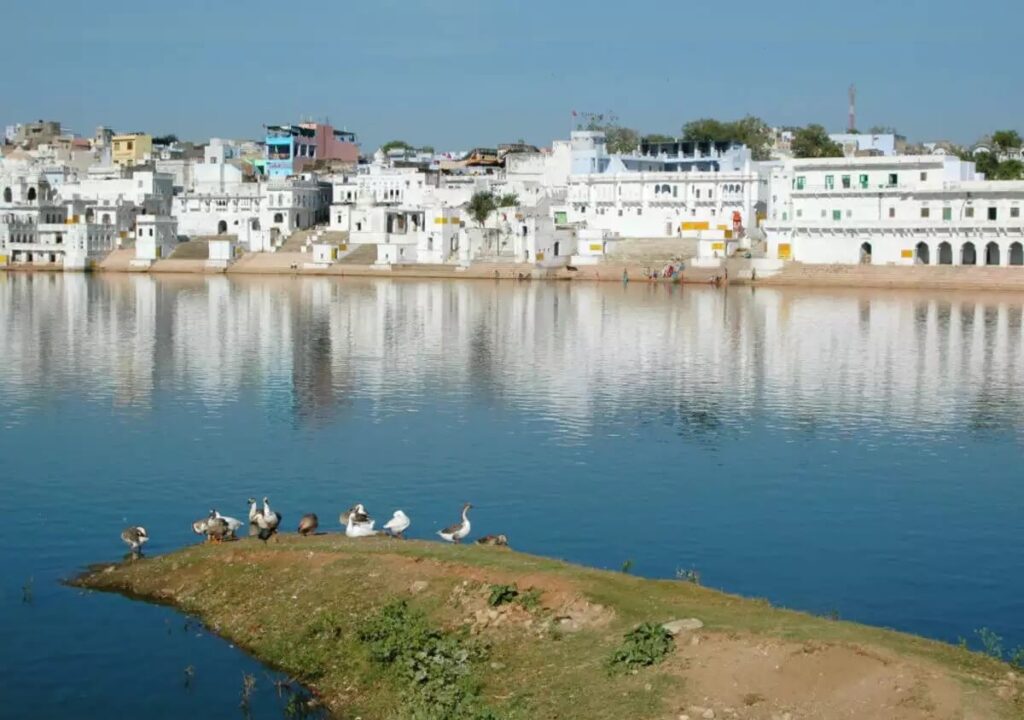 Bird Watching at Pushkar Valley Rajasthan
