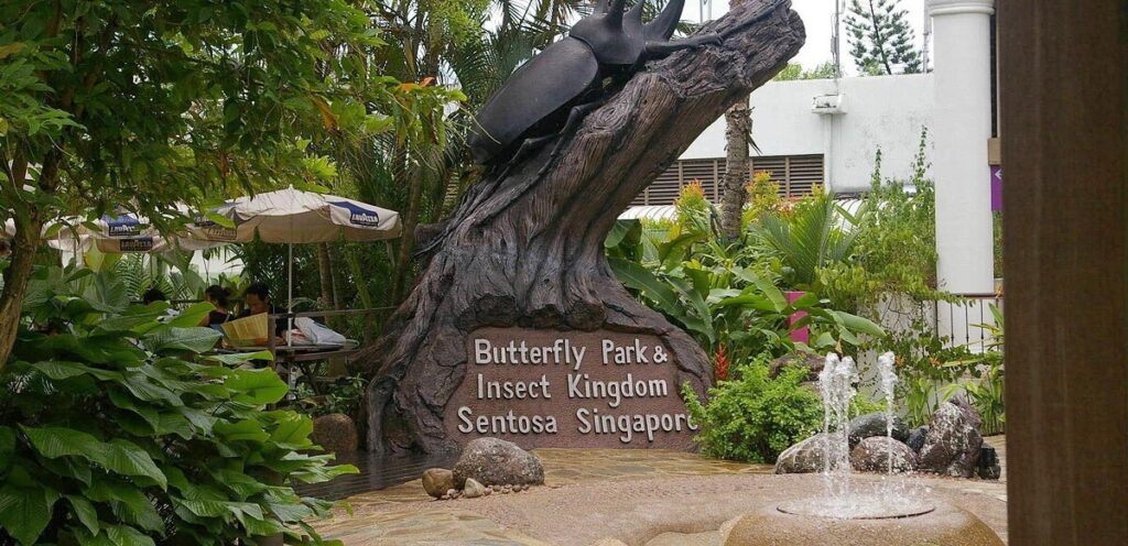 Butterfly Park and Insect Kingdom Singapore