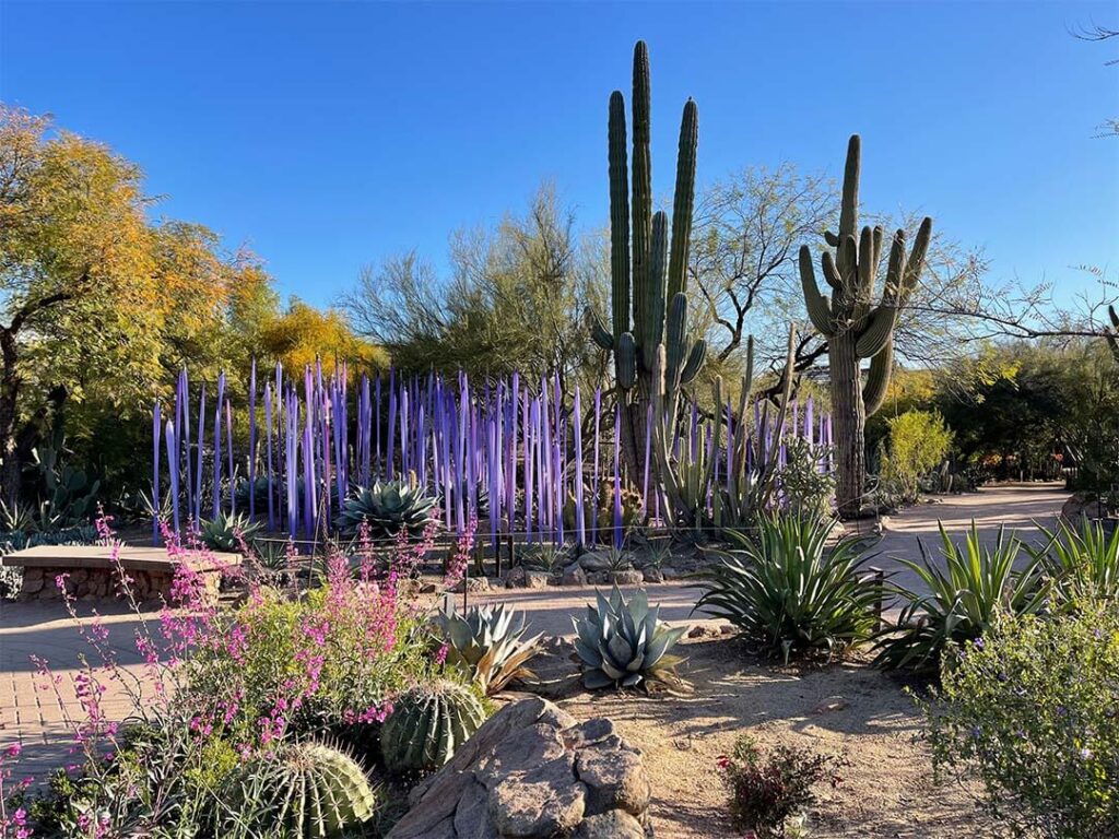 Desert Botanical Gardens, Phoenix, Arizona
