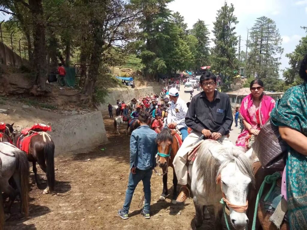 Horse Riding in Kufri Shimla
