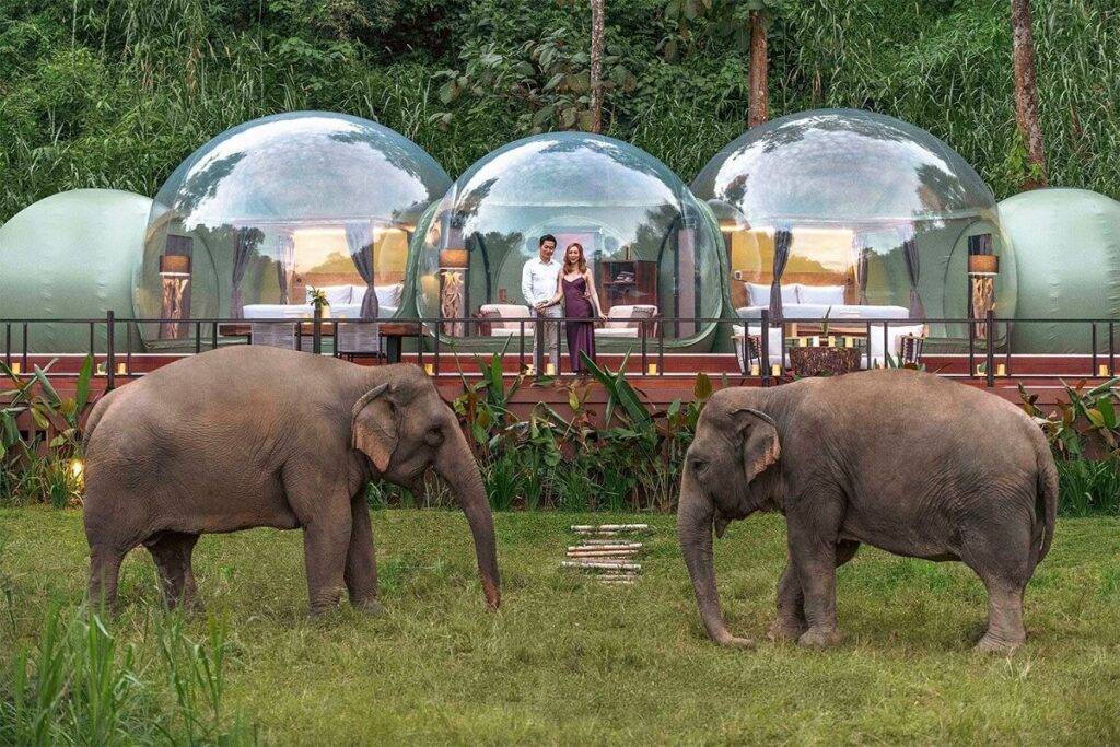 Jungle Bubble suites Anantara Golden Triangle Elephant Camp & Resort, Thailand